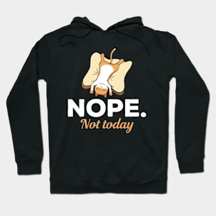 Nope Not Today Sleeping Cat Hoodie